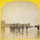 Beach and Horses [Blanchard Stereoview 1860s]
